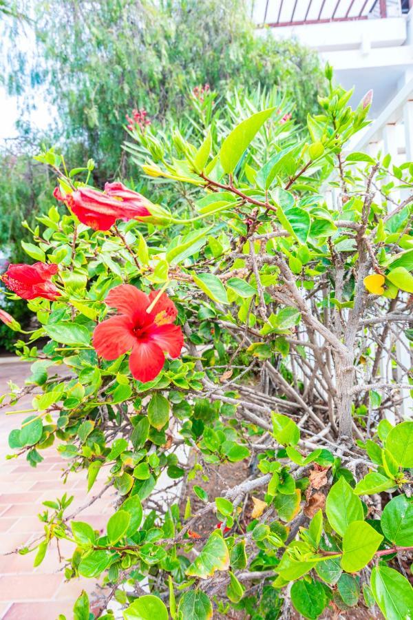 Vivienda Vacacional Sea Garden كوستا تاغيسي المظهر الخارجي الصورة